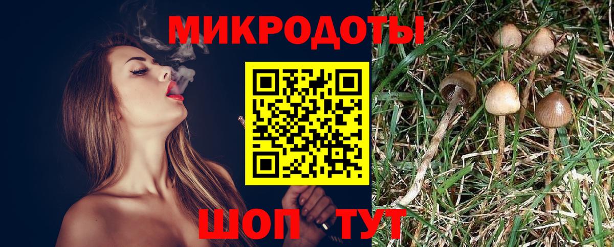 Галлюциногенные грибы мицелий  Вход с VPN  Краснокаменск 